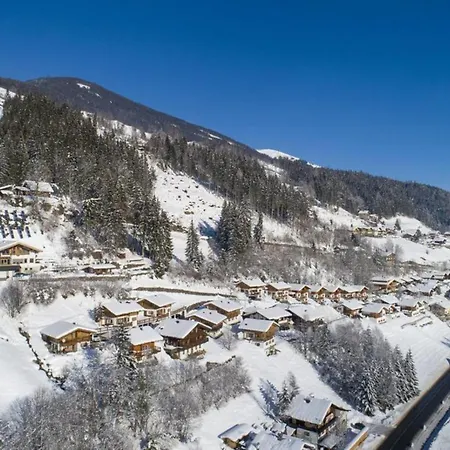 Schoeneben Enzian Wald im Pinzgau